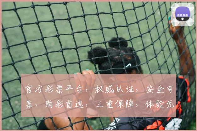 官方彩票平台，权威认证，安全可靠，购彩首选，三重保障，体验无忧，