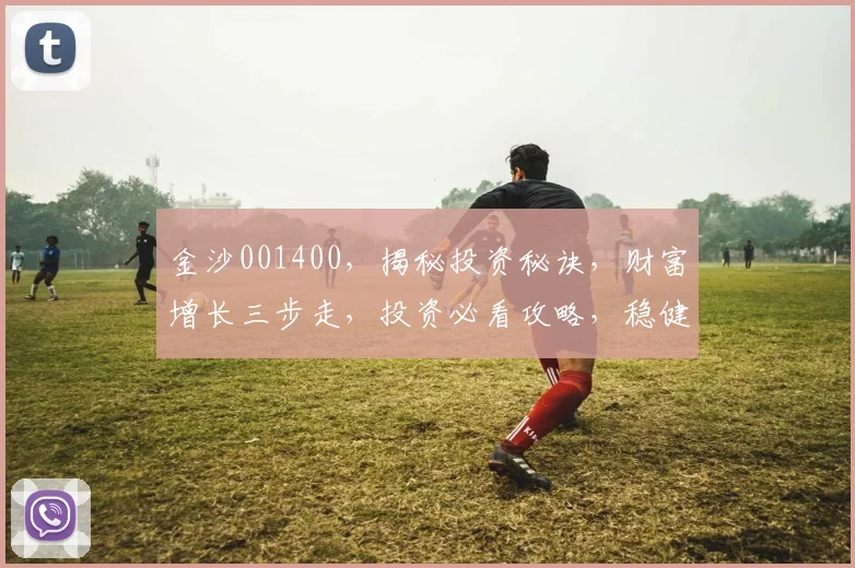 金沙001400，揭秘投资秘诀，财富增长三步走，投资必看攻略，稳健收益保障