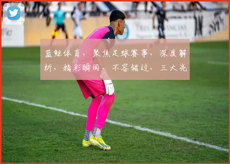 蓝鲸体育，聚焦足球赛事，深度解析，精彩瞬间，不容错过，三大亮点，尽在蓝鲸