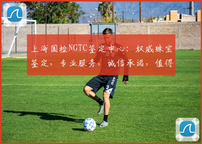 上海国检NGTC鉴定中心：权威珠宝鉴定，专业服务，诚信承诺，值得信赖，品质保障，首选之选。
